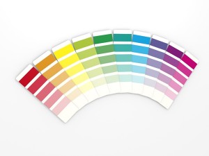 Painter and Decorator